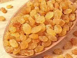 زبيب