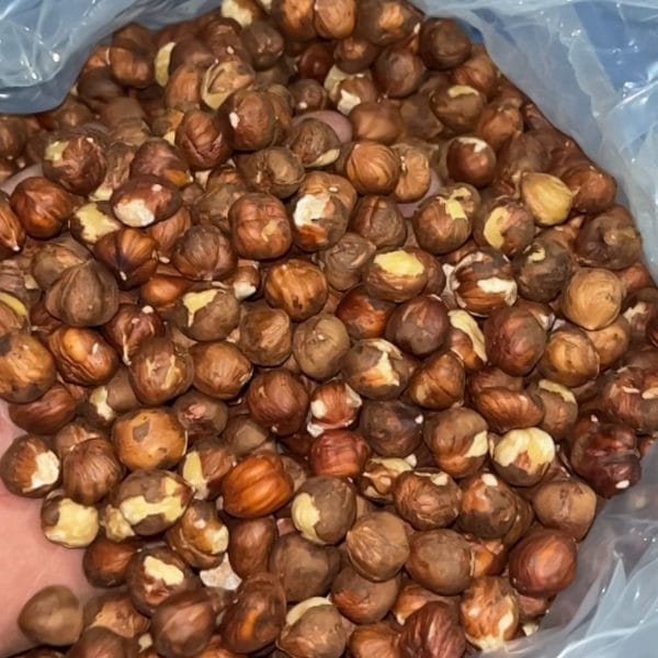 بندق