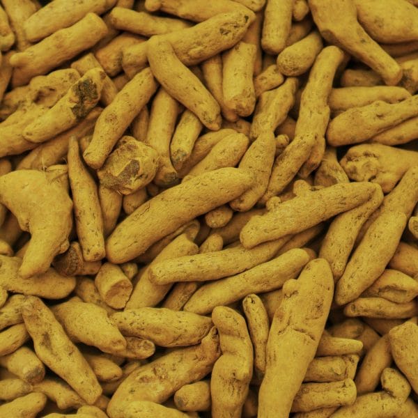 Turmeric