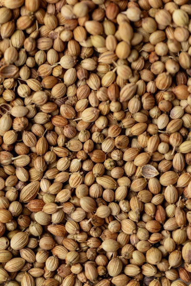 Coriander pebbles