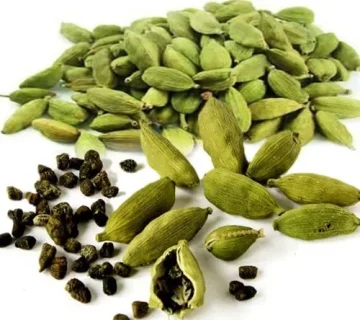 حبهان   حب الهيال