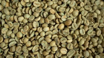 البن الأخضر
