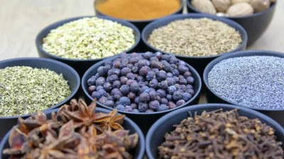 تصنيف العطارة